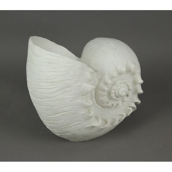 White Sandstone Finish Frilled Nautilus Shell Accent Lamp 10 Inches High - Picture 2 of 6